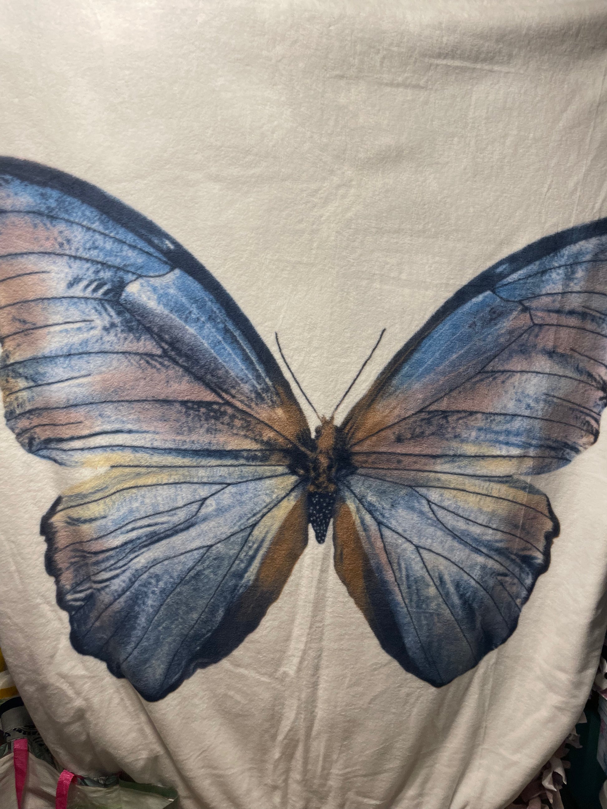 Blue spring butterfly plush king outlets blanket